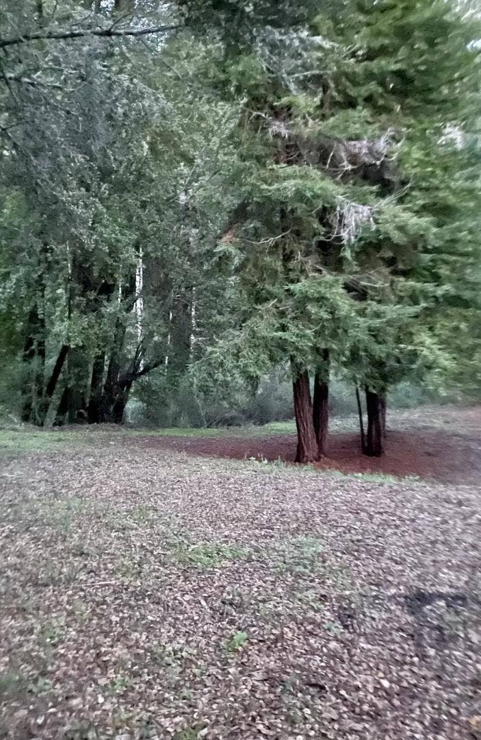 Property photo for 0 Long Branch Road, Los Gatos, CA