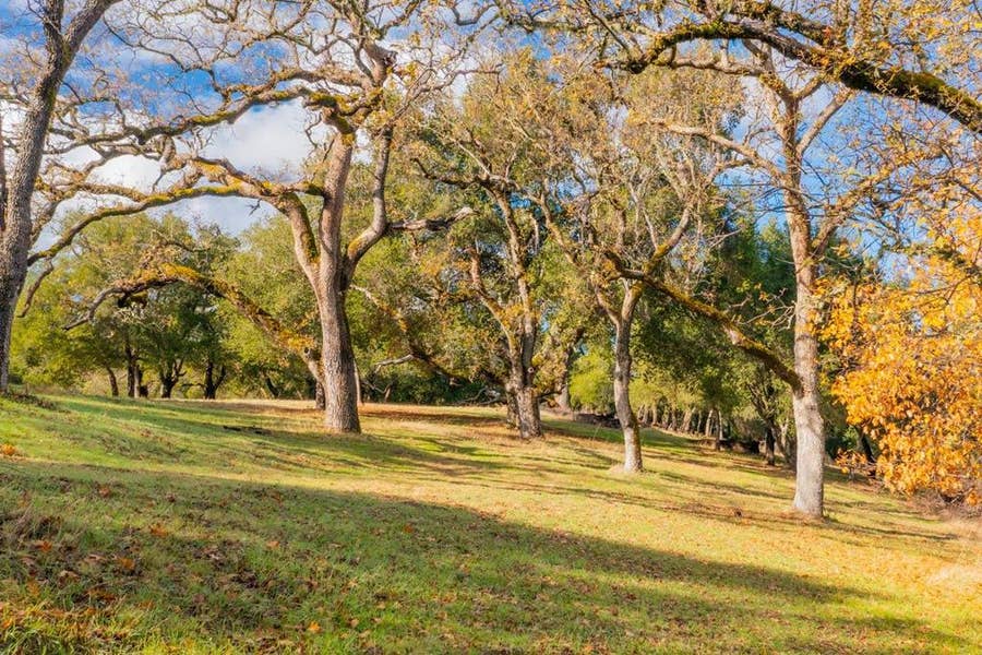 Property photo for 36 Arroyo Sequoia (Lot 117), Carmel, CA