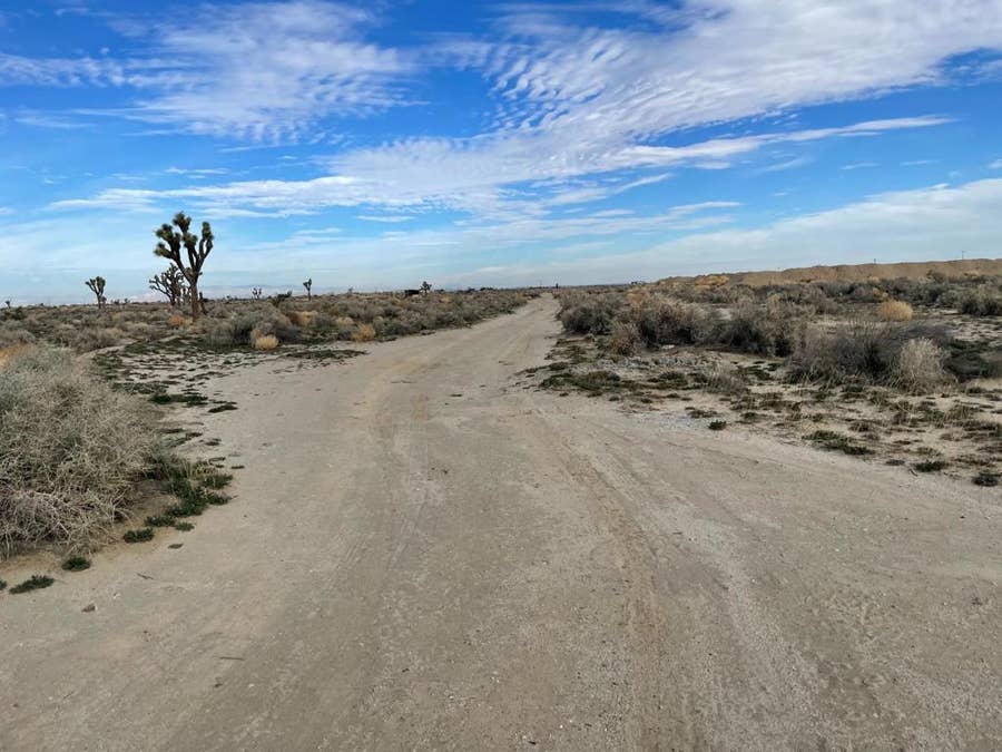 Property photo for M8 Drt /95 #DRT Avenue, Palmdale, CA