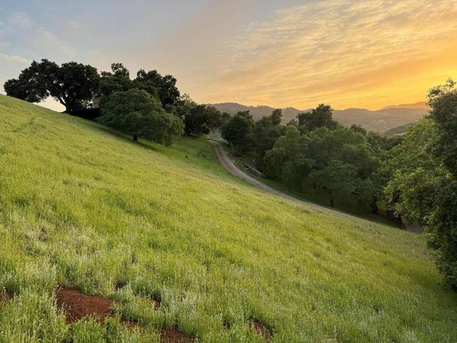 Property photo for 2328 Dahlberg Drive, Morgan Hill, CA