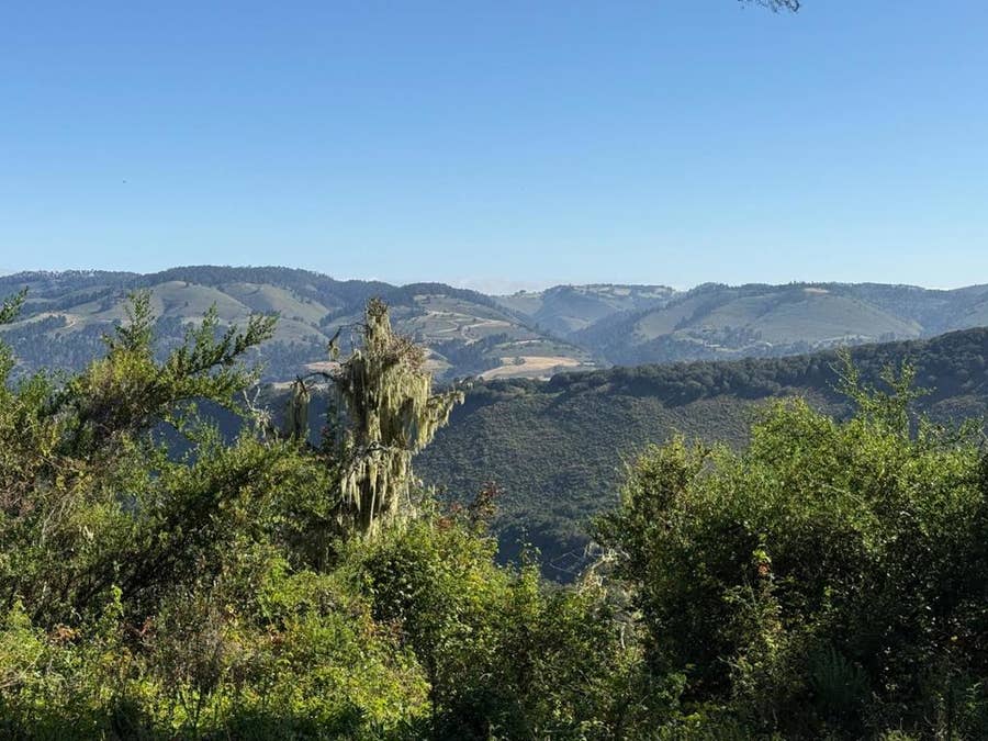 Property photo for 6 Rancho San Carlos (Lot E10) Road, Carmel, CA