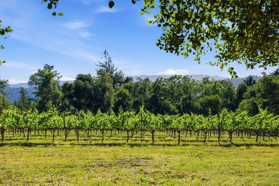 Property photo for 0 Miller Hill Road, Los Gatos, CA