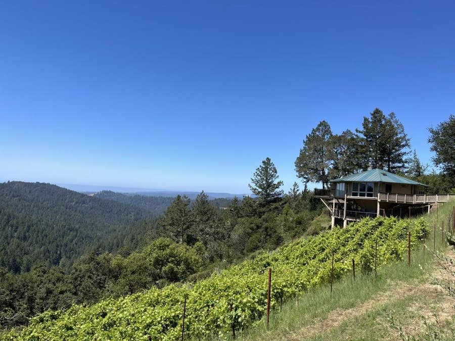 Property photo for 351 Canyon Vista, Los Gatos, CA