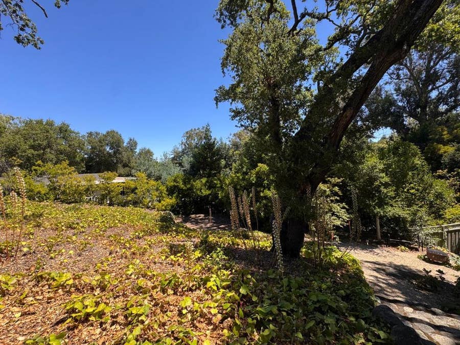 Property photo for 225 Oak Meadow Drive, Los Gatos, CA