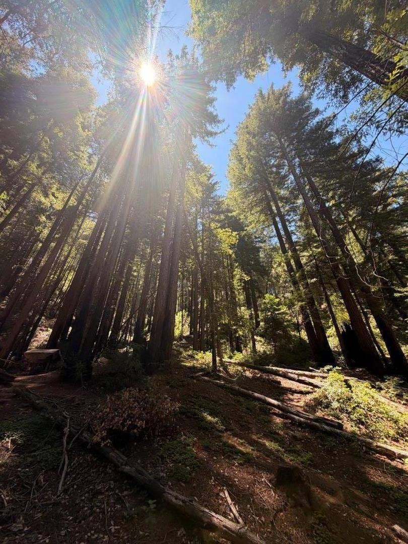 Property photo for 11837 Clear Creek Road, Brookdale, CA