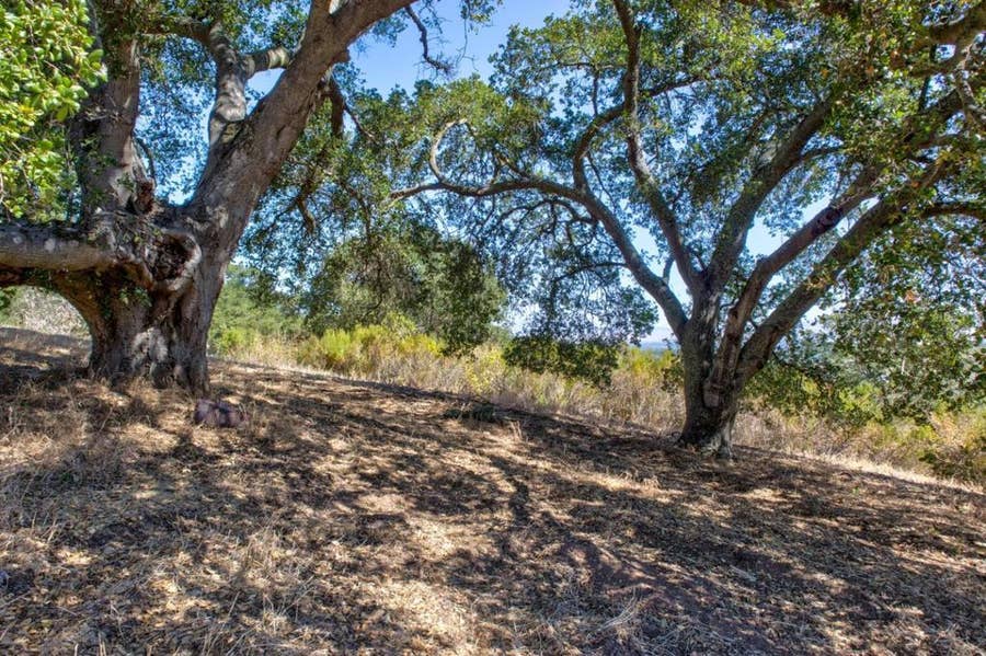 Property photo for 8272 Sassafras Court, Pleasanton, CA