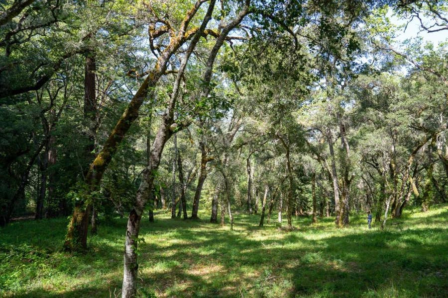 Property photo for 35000 Robinson Canyon Road, Carmel, CA