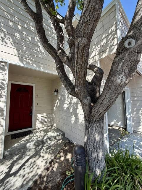 Property photo for 173 Sierra Vista Avenue, #14, Mountain View, CA