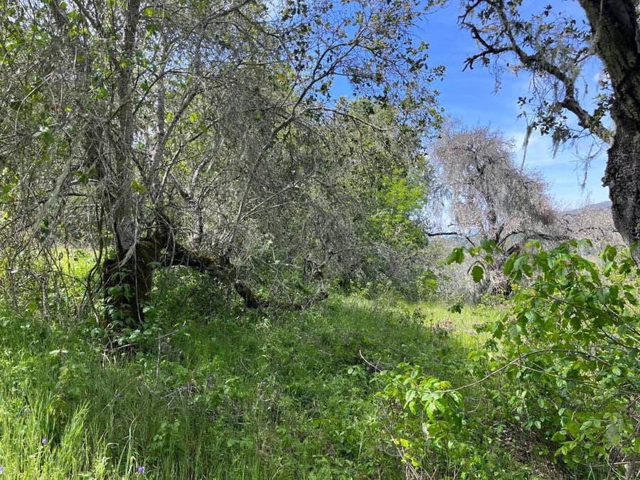 Property photo for 33446 E Carmel Valley Road, Carmel Valley, CA