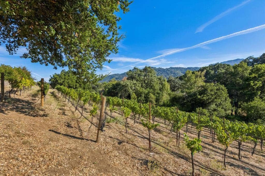 21449 Toll Gate Road, Saratoga, CA 95070