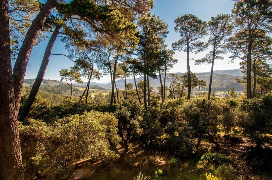 Property photo for 154 DEL MESA CARMEL, Carmel, CA