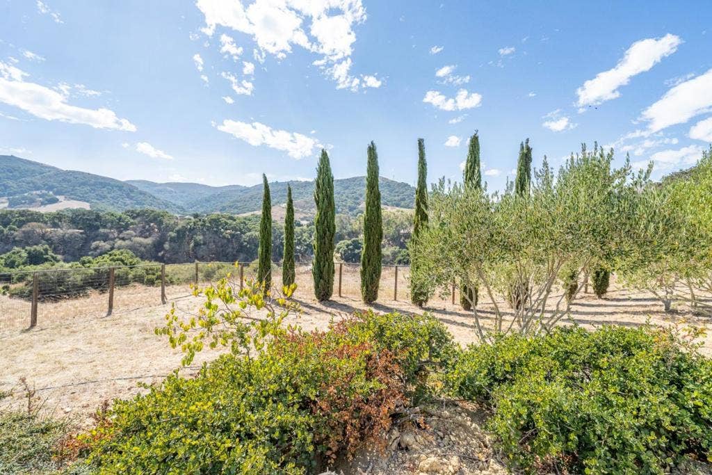 909 Via Juan Pablo, San Juan Bautista, CA 95045