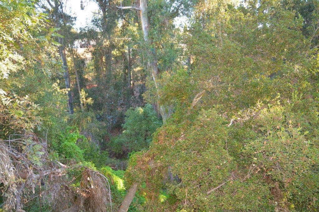1966 Hillsdale Street, Hayward, CA 94541 1966 Hillsdale Street, Hayward, CA 94541