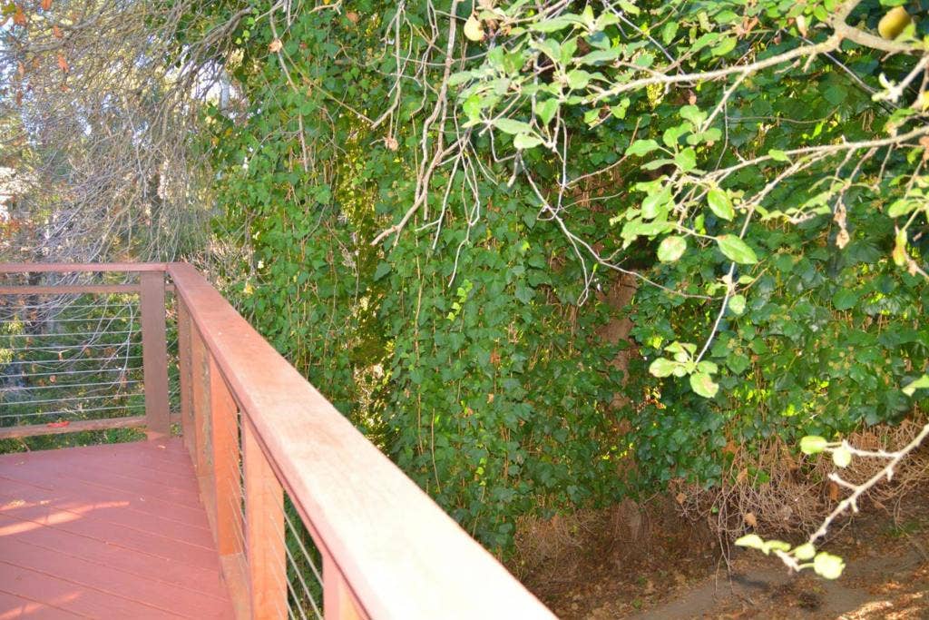1966 Hillsdale Street, Hayward, CA 94541 1966 Hillsdale Street, Hayward, CA 94541