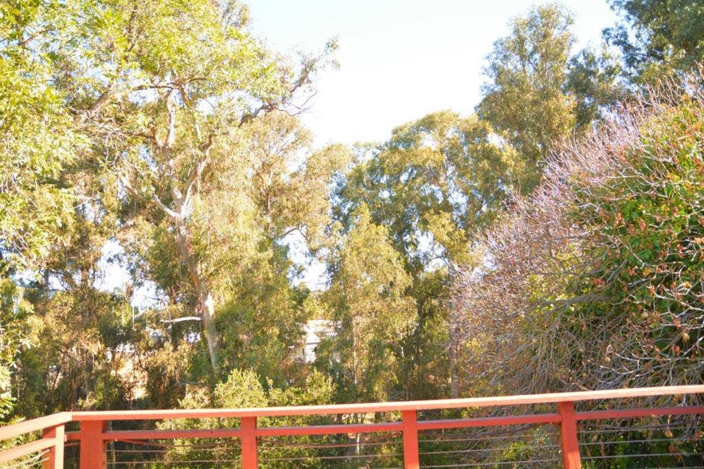 1966 Hillsdale Street, Hayward, CA 94541 1966 Hillsdale Street, Hayward, CA 94541