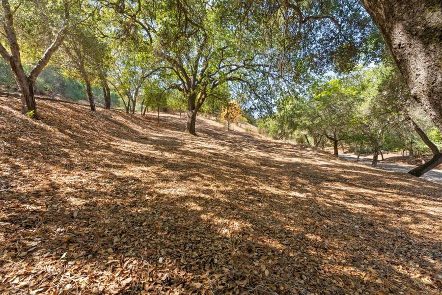 Property photo for 16099 Greenwood Road, Monte Sereno, CA