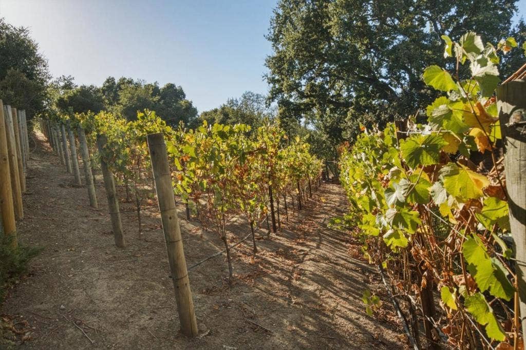 14123 Tracy Court, Los Altos Hills, CA 94022