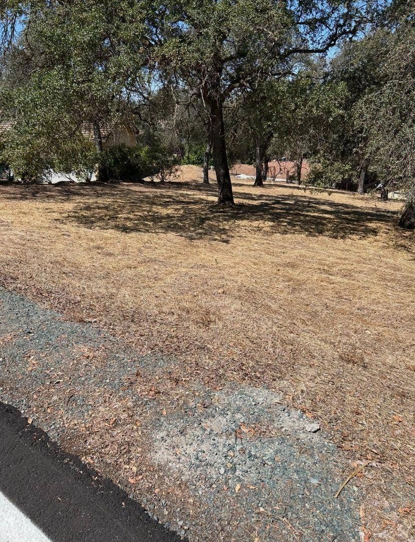 Property photo for 2194 Partridge Drive, Valley Springs, CA