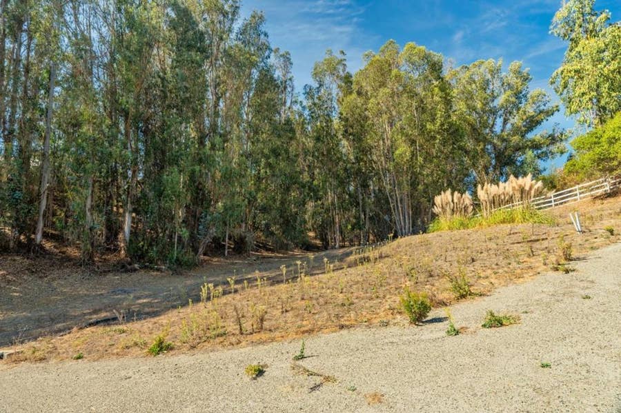 Property photo for 0 Carpenteria Rd., Aromas, CA