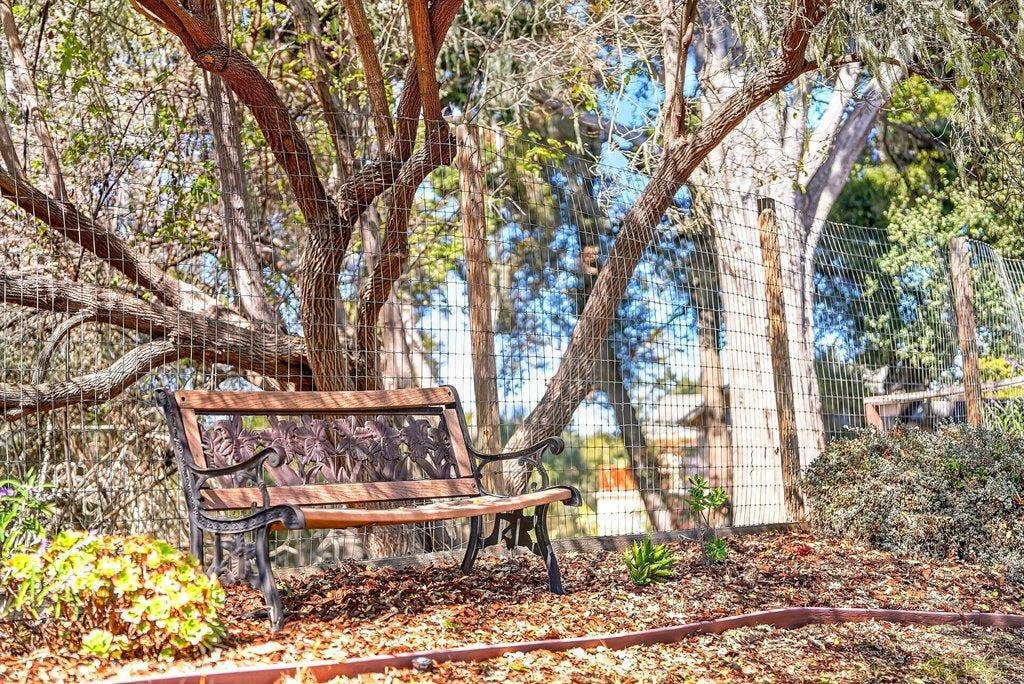 110 Mattison Court, Aptos, CA 95003 Backyard setting.