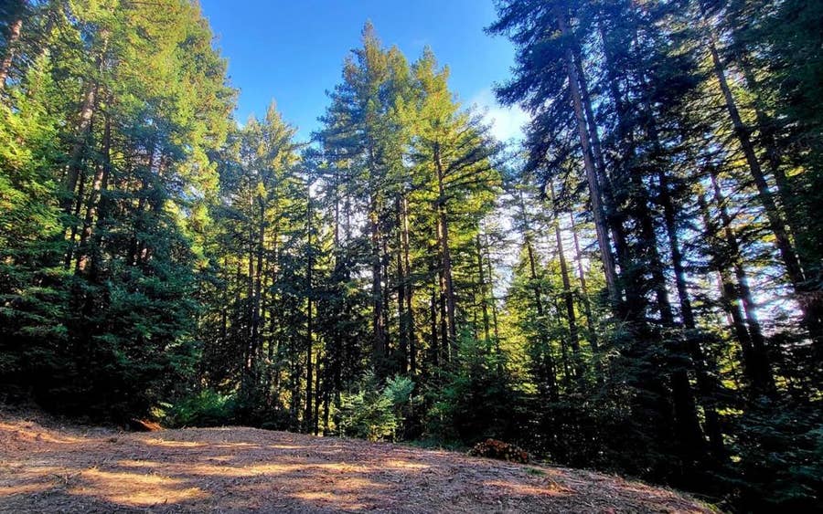 Property photo for 0 Redwood Lodge Road, Los Gatos, CA