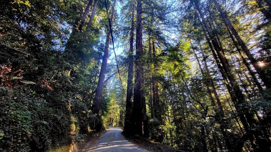 Property photo for 0 Redwood Lodge Road, Los Gatos, CA