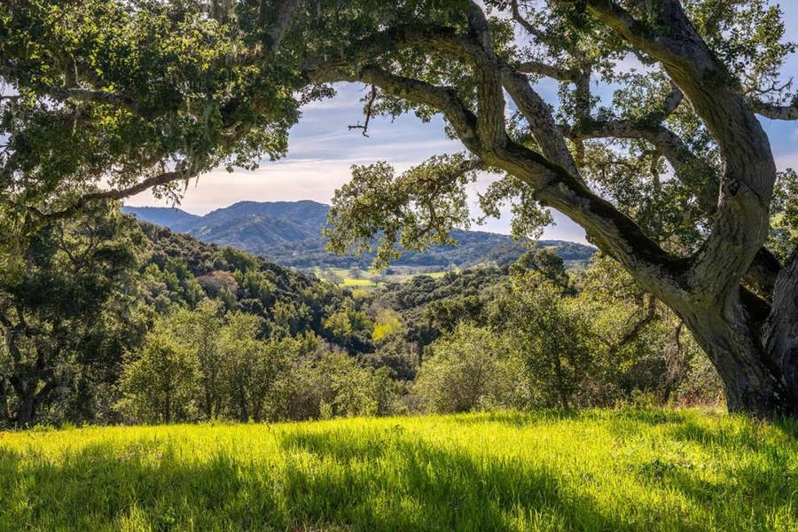 Property photo for 7 Vasquez Trail (Lot 172), Carmel, CA