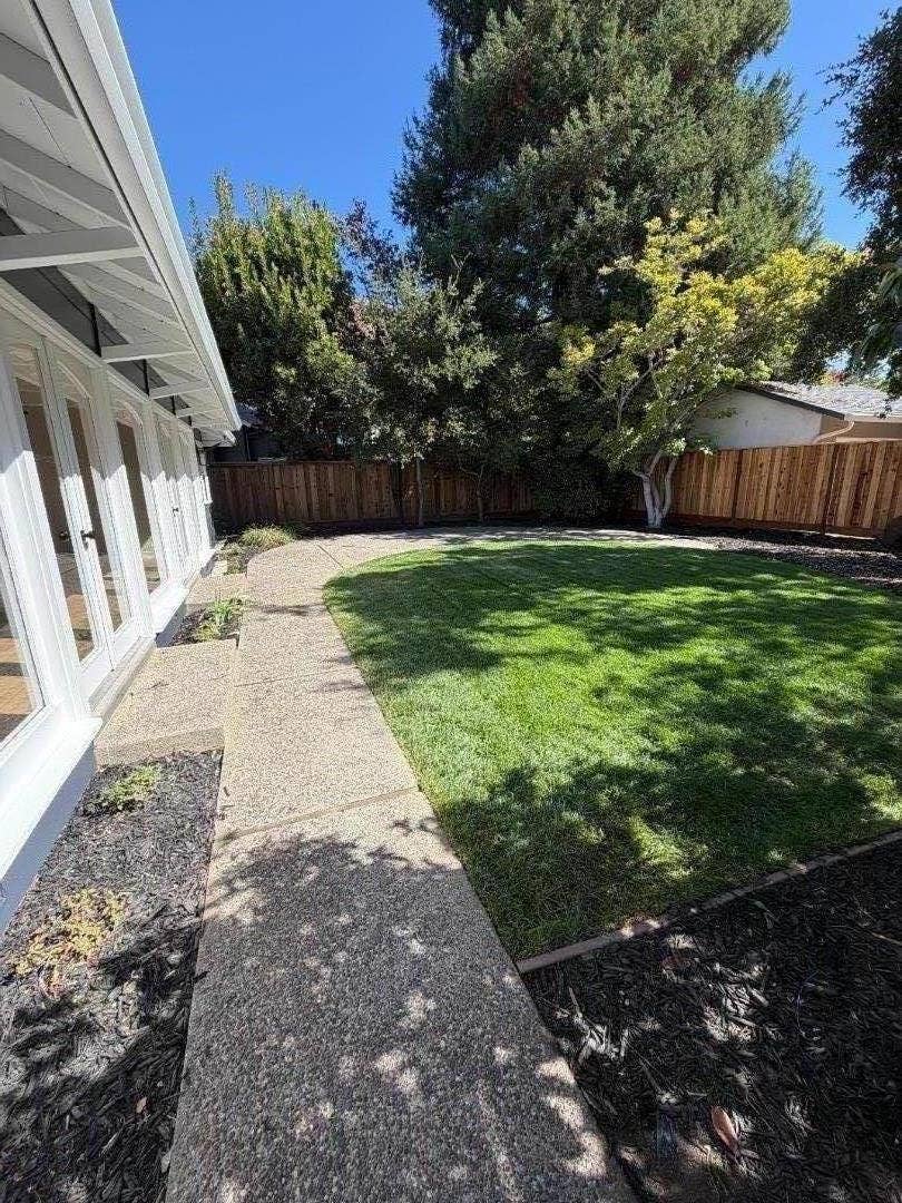 Backyard photo
