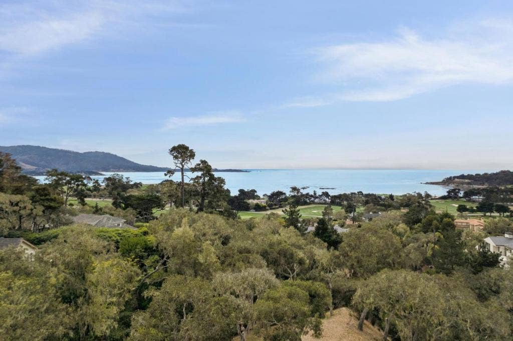 View from roof above living room.