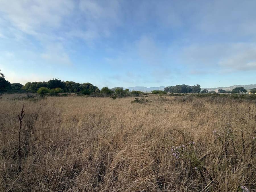 Property photo for 0 BONITA Avenue, Half Moon Bay, CA