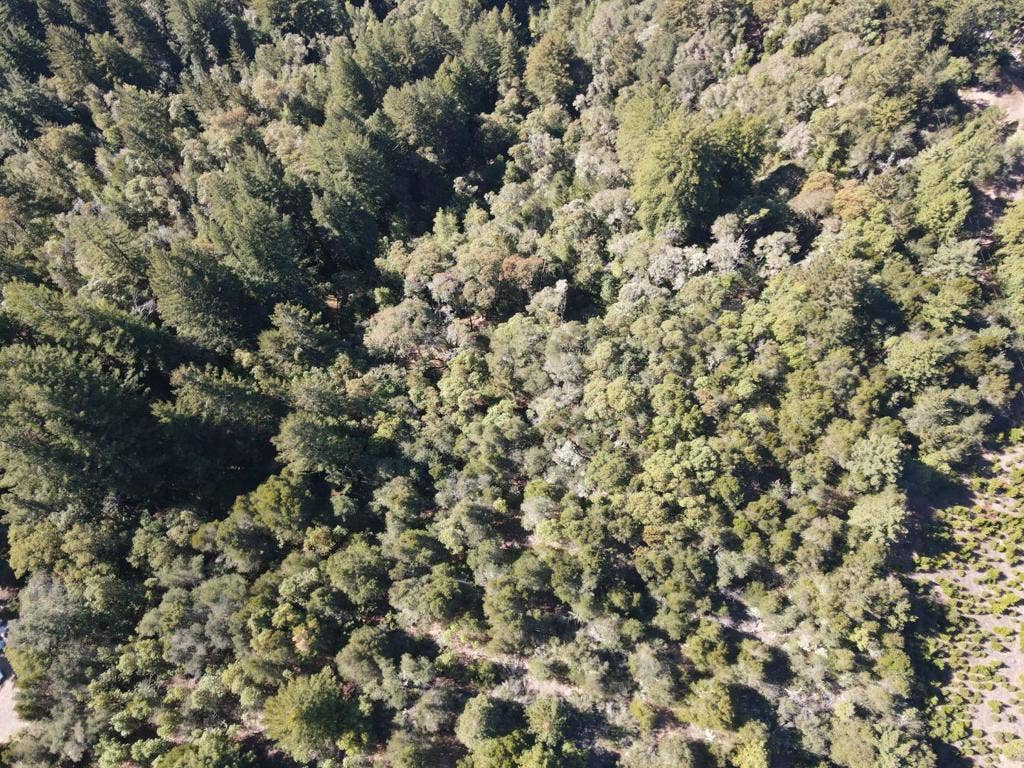 Soquel, CA 95073 Soquel, CA 95073
