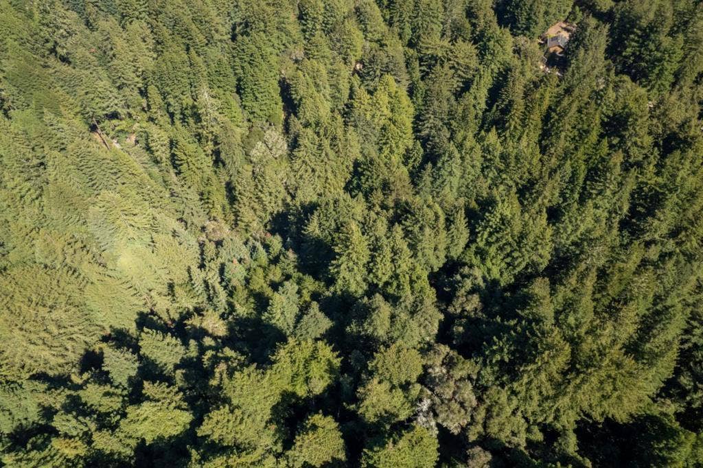 0 Granite Creek, Scotts Valley, CA 95066