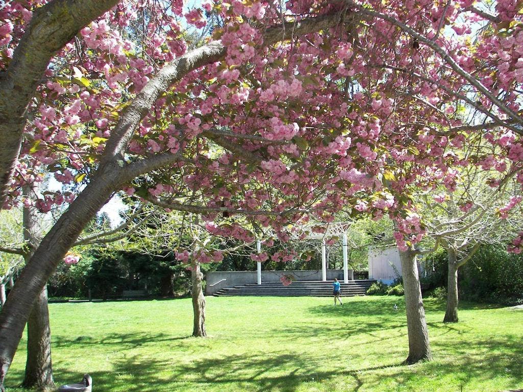 2620 Monserat Avenue, Belmont, CA 94002 2620 Monserat Avenue, Belmont, CA 94002