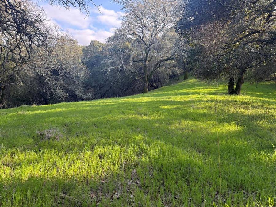 Property photo for 0 Chesbro Lake Drive, Morgan Hill, CA