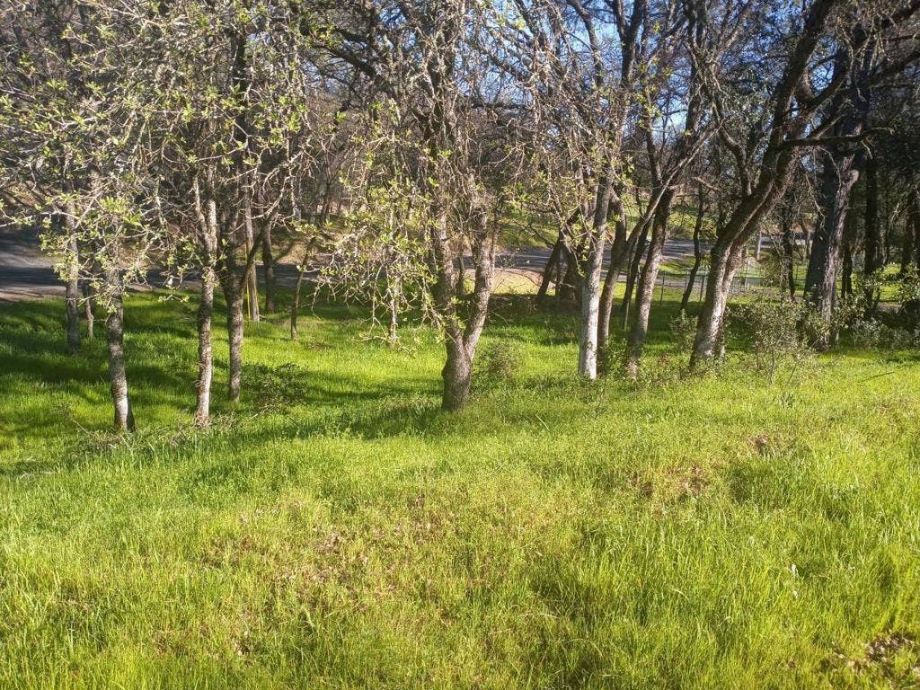 0 Brookdale Drive, Oroville, CA 95966 0 Brookdale Drive, Oroville, CA 95966