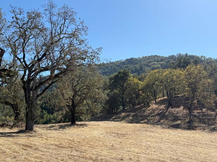 Property photo for 39 Arroyo Sequoia (Lot 114), Carmel, CA