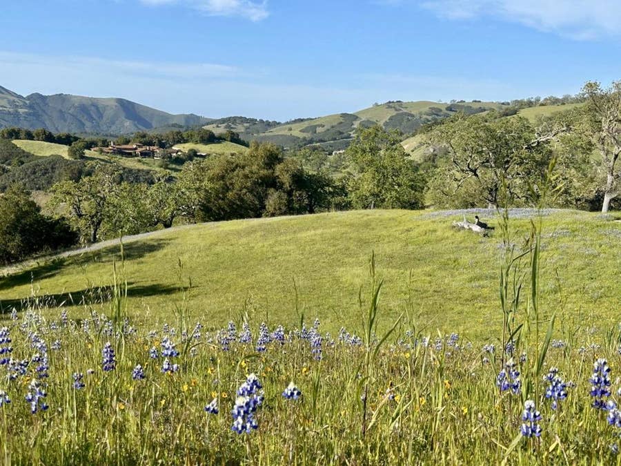 Property photo for 8 Touche Pass (Lot 158), Carmel, CA
