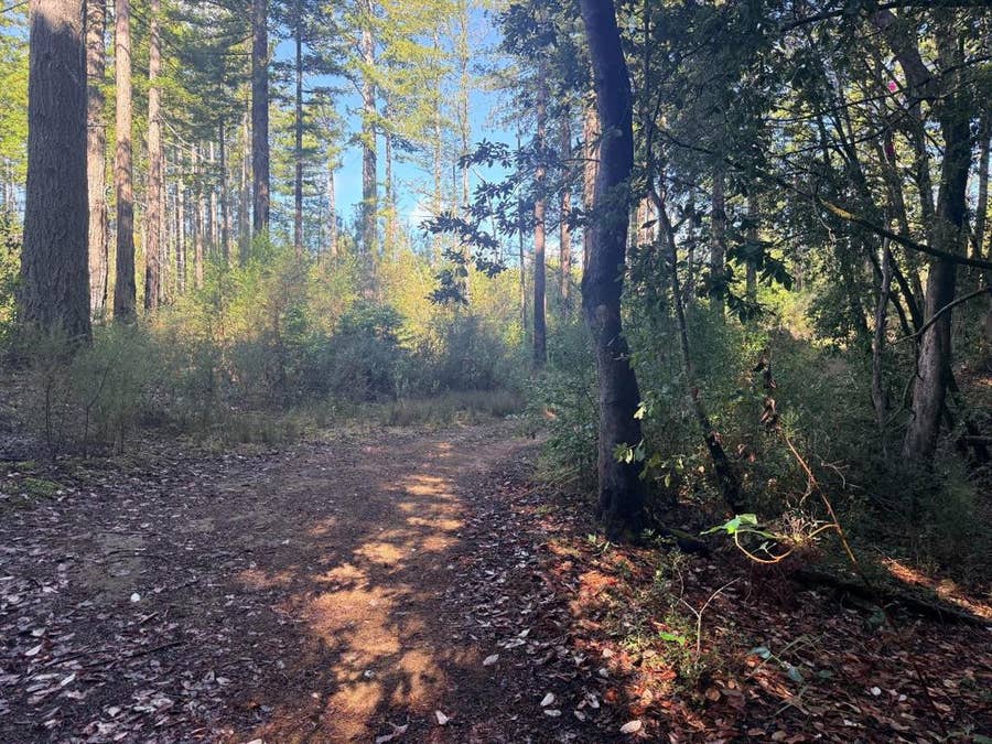 Property photo for 0 Warren Drive, Santa Cruz, CA