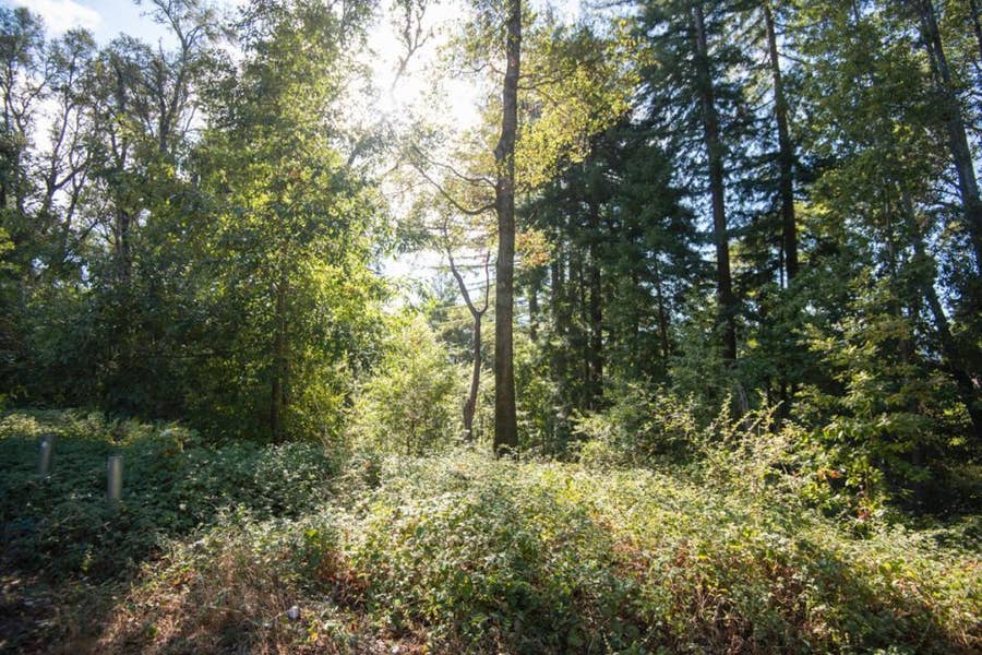 Property photo for Madrone Avenue, Felton, CA