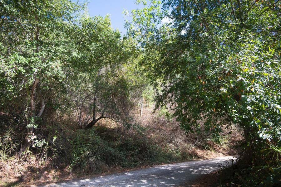 Property photo for 0 Vistiar Street, Felton, CA