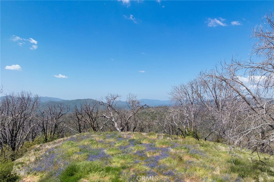 Property photo for 39 Acres Buckingham Mountain Road, Mariposa, CA