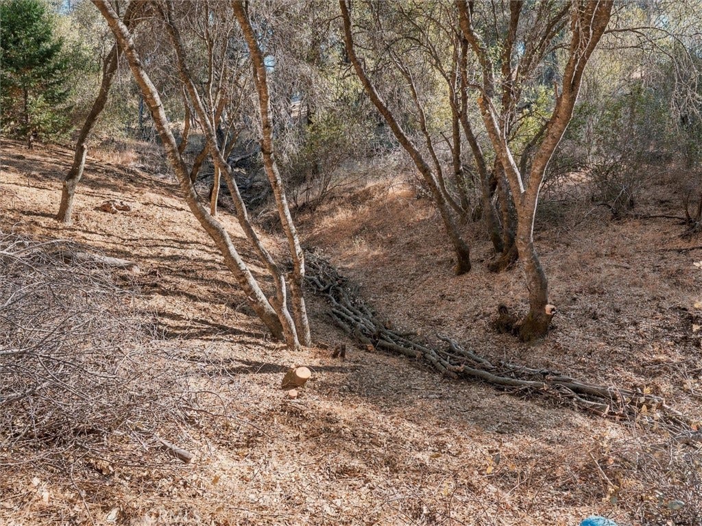 4460 Usona, Mariposa, CA 95338 4460 Usona, Mariposa, CA 95338