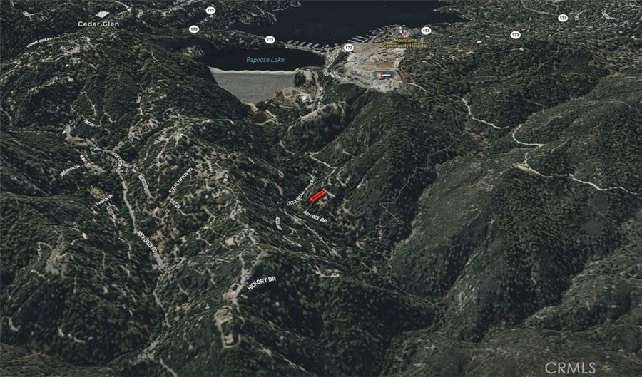 Property photo for 829 Iron Bark Lane, Cedar Glen, CA