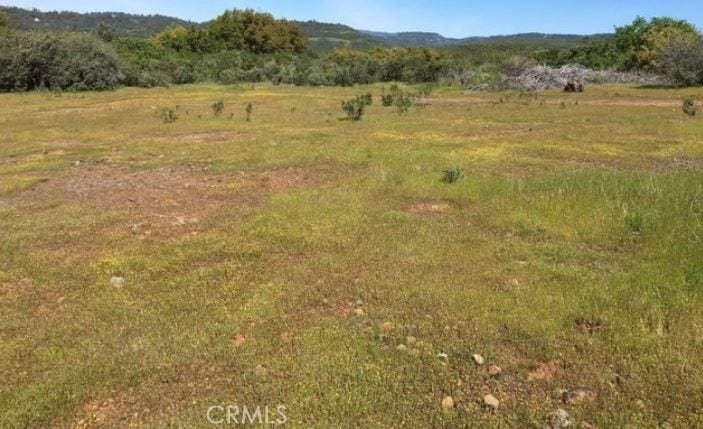 Property photo for 0 Batt Road, Forest Ranch, CA