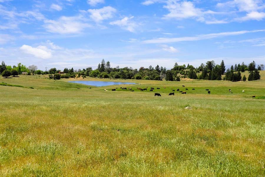 Property photo for 3510 Deer Lake Park Road, Julian, CA