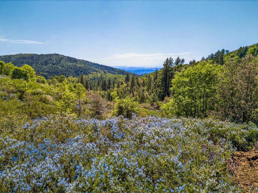Property photo for 200 Palomar Divide Truck Trail, Palomar Mountain, CA