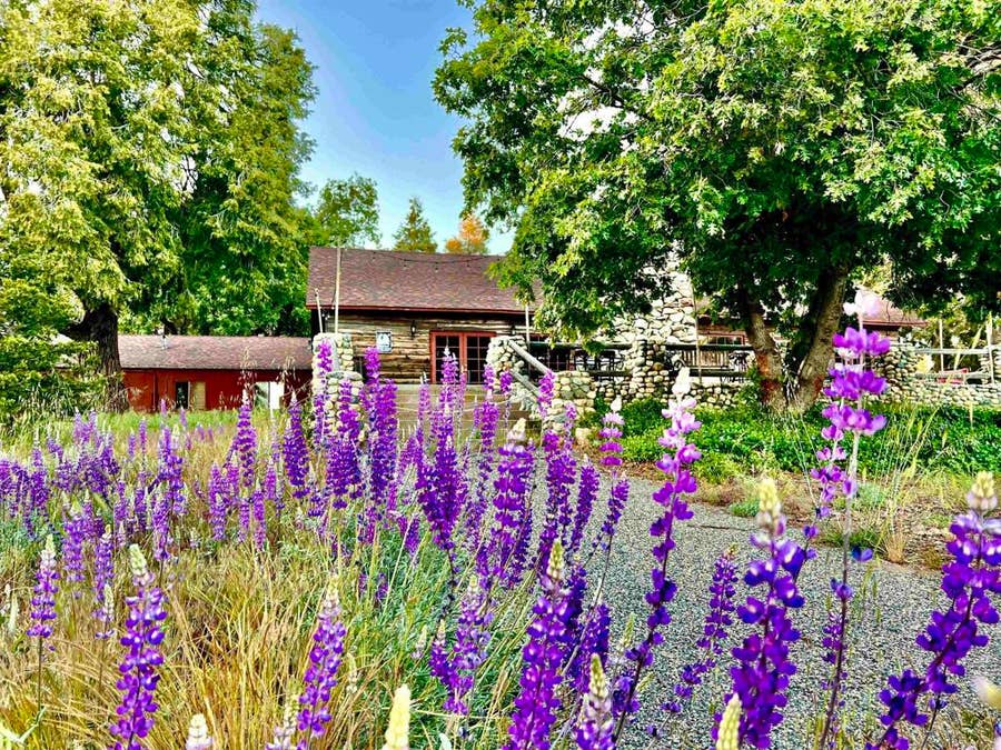 Property photo for 22228 Crestline Road, Palomar Mountain, CA