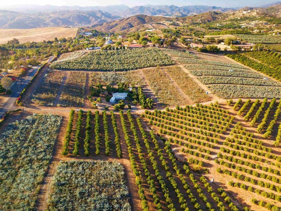 Property photo for 31817 Via Ararat Drive, Bonsall, CA