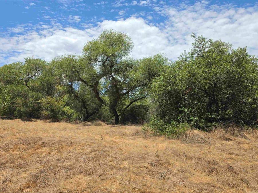 Property photo for 1 Durgin Street, Ramona, CA