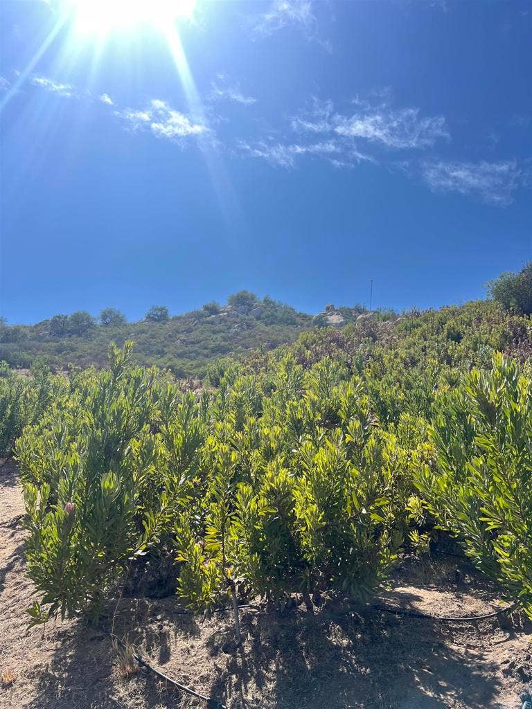 Property photo for 26336 N Lake Wohlford Road, Valley Center, CA